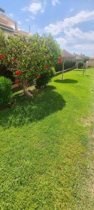 Bungalow Avec Piscine Torrevieja Eksteriør bilde