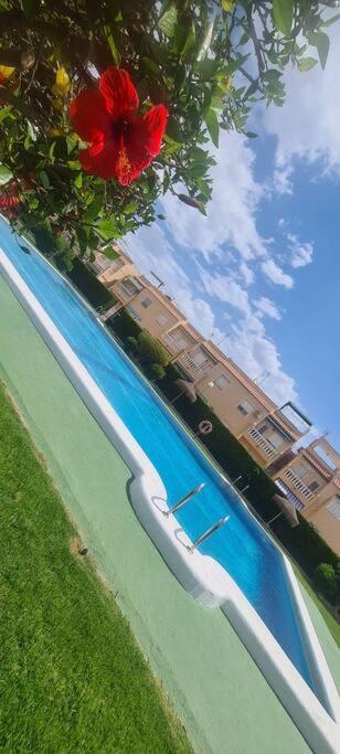 Bungalow Avec Piscine Torrevieja Eksteriør bilde