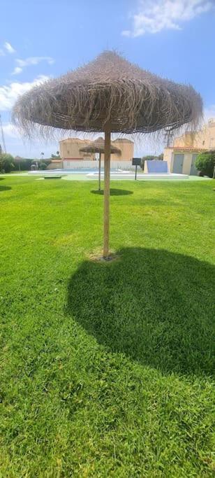 Bungalow Avec Piscine Torrevieja Eksteriør bilde