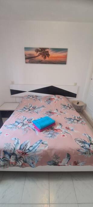 Bungalow Avec Piscine Torrevieja Eksteriør bilde